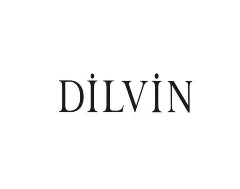 dilvin-logo